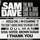 12inch Vinyl Single - The New Sam & Dave - Soul Review