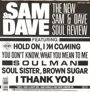 The New Sam & Dave - The New Sam & Dave Soul Review