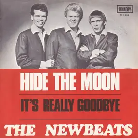 The New Beats - Hide The Moon