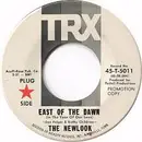 7inch Vinyl Single - The Newlook - East Of The Dawn / What Did You Take Me For