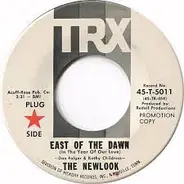 The Newlook - East Of The Dawn / What Did You Take Me For