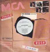 12inch Vinyl Single - The Newtrons - Similar Attraction