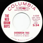 The Ned Odum Boys - Evergreen Tree / This Vagabond Life