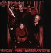 LP - The Negatives - Rules And Regulations