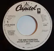 The Smithereens - Drown In My Own Tears