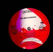 LP - The Smithereens - Especially For You