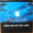 2 x 12inch Vinyl Single - The Snatch - Dreams Of My Life