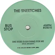 7inch Vinyl Single - The Sneetches - She Does Everything For Me