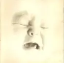 CD - The Soundtrack of Our Lives - Welcome To The Infant Freebase