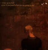 The Sound - Sense Of Purpose (What Are We Going To Do)