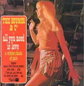 The Sounds - All You Need Is Love