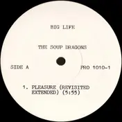 The Soup Dragons - Pleasure