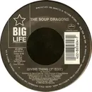 7inch Vinyl Single - The Soup Dragons - Divine Thing
