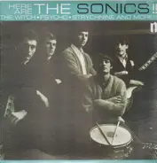 The Sonics - Here Are the Sonics!!!