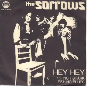 Sorrows - Hey Hey / 6 Ft 71/2 Inch Shark Fishing Blues