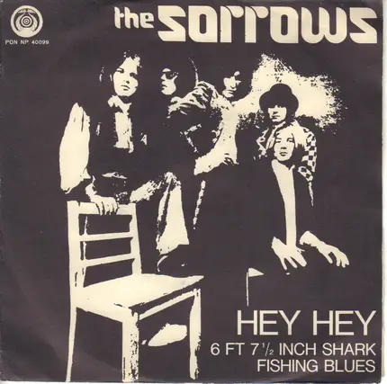 The Sorrows - Hey Hey / 6 Ft 71/2 Inch Shark Fishing Blues