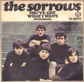 Sorrows - You've Got What I Want