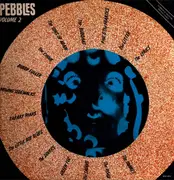 LP - The Satans / The Moving Sidewalks / The Road / The Squires - Pebbles Vol. 2
