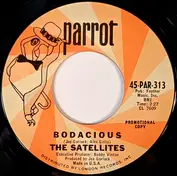 The Satellites
