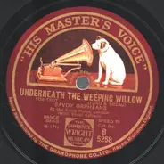 The Savoy Orpheans - Underneath The Weeping Willow / Where Do You Work-A-John