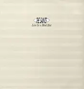 The Saints - Live in a Mud Hut
