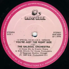 The Salsoul Orchestra - You're Just The Right Size (A Special R.E.M.I.X.E.D. Version) / Run Away