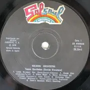 LP - The Salsoul Orchestra - Temas Navideños (Sonido Discoteca)