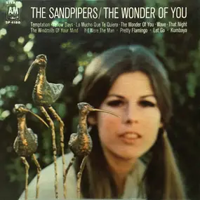 The Sandpipers - The Wonder of You