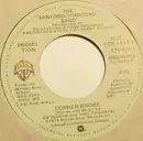 7inch Vinyl Single - The Sanford-Townsend Band - Gopher Broke