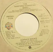 The Sanford-Townsend Band - Gopher Broke