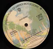 LP - The Sanford-Townsend Band - Duo Glide
