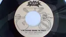 7inch Vinyl Single - The Scott Brothers - I'm Going Home To Stay / The Johnstown Flood