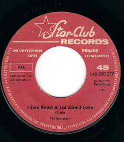 The Searchers - I Sure Know A Lot About Love