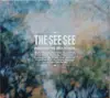 CD - The See See - Fountayne Mountain - Digipak
