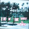 CD - Seelenluft And The Silvercity-Bob Orchestra - Out Of The Woods