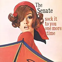 The Senate - Sock It To You One More Time