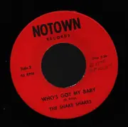 7inch Vinyl Single - The Shake Shakes - You Can Run / Who's Got My Baby