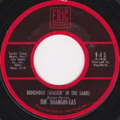 The Shangri-Las - Remember