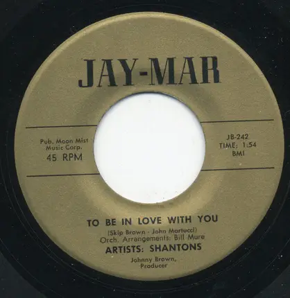 The Shantons - Lucille / To Be In Love With You