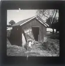 7inch Vinyl Single - The Shaved Pigs - Big Brass Knuck - Pink