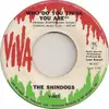 7inch Vinyl Single - The Shindogs - Who Do You Think You Are
