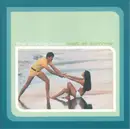 CD - The Shining Hour - Wait All Summer