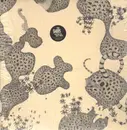 LP - The Shins - Wincing The Night Away - MP3 DOWNLOAD/COLOURED INNER SLEEVE WITH SONG LYRI