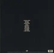 LP - The Shins - Wincing The Night Away