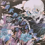 The Shins - The Worms Heart