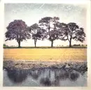 LP - The Shooters - The Shooters