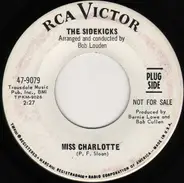 The Sidekicks - Miss Charlotte / He's My Friend