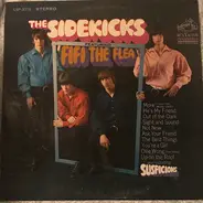 The Sidekicks - Fifi The Flea