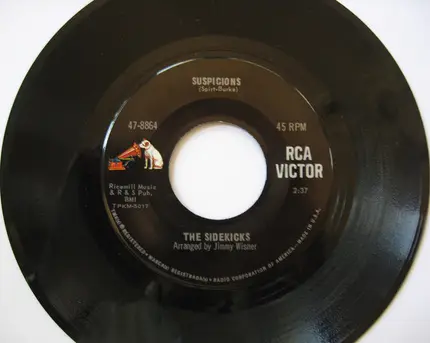The Sidekicks - Suspicions