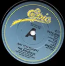 7inch Vinyl Single - The Sinceros - Are You Ready?